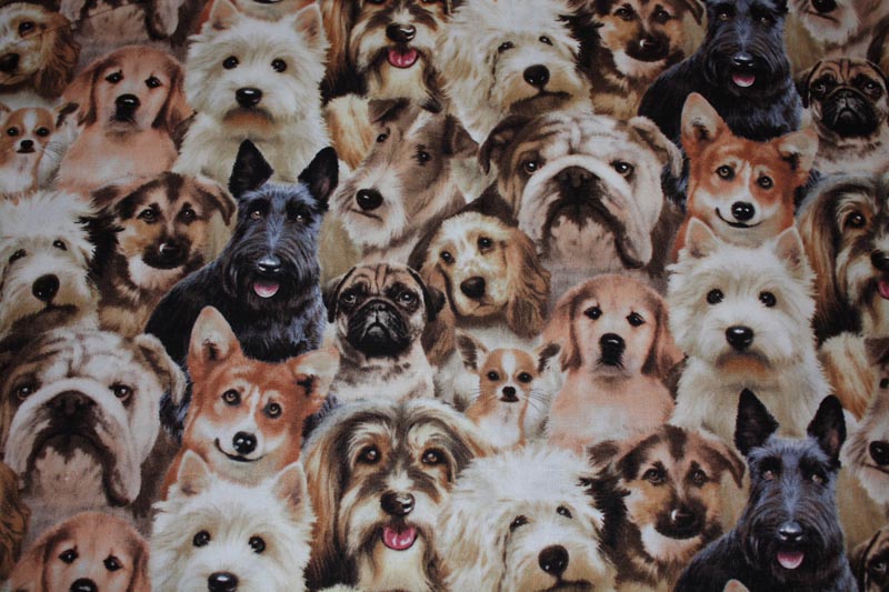 Doggie Prints 1